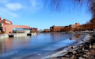 剪辑入行全面课程：从工具人到秃发强者！超清带素材