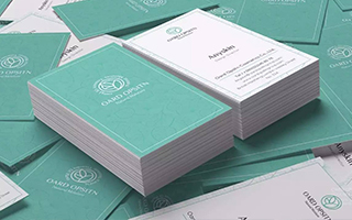 胡晓波VI品牌设计班27期（画质高清）