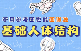 释开达 基础人体结构绘画教程（画质高清带笔刷）