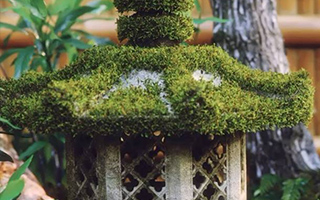 Maya&3dsMax超写实影视场景制作高级案例教学（超清画质带素材）