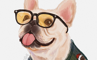 阿花ipad宠物团练插画课2021年7月结课（高清画质带笔刷课件）