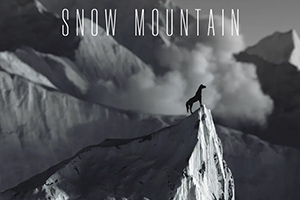 威猫地形环境设计教程（高清有素材）