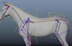 坐标绑定【画质高清有素材】