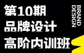 卢帅2022第十期品牌设计高阶内训班【画质不错有素材】