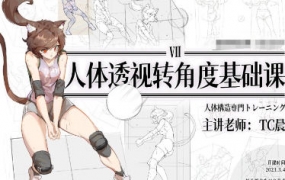 TC晨透视转角度基础课第7期2023年【画质高清只有视频】