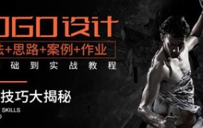 影尚设计LOGO标志设计零基础到实战教程【画质不错只有视频】