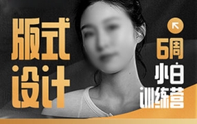 版式设计小白训练营【画质高清只有视频】