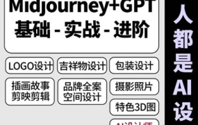 【缺课】谢安妮人人都是ai设计师2023年【画质高清有大部分素材】