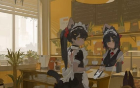 dm袋喵阶段3素描与色彩2023【画质高清只有视频】