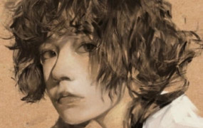 特兰悟天克斯iPad板绘人物系统课2023年【画质高清有笔刷】