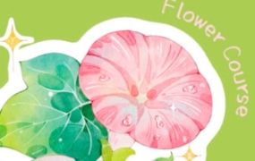 昭春落日2023年iPad水彩花卉课part1【画质高清有笔刷和课件】