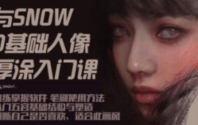 与snow厚涂人像0基础入门2023【画质还行有笔刷和课件】