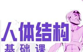 大木人体结构基础第11期2023年【画质高清只有视频】