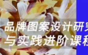 壹衿时尚2023暑期品牌图案设计研究与实践进阶【画质还可以只有视频】