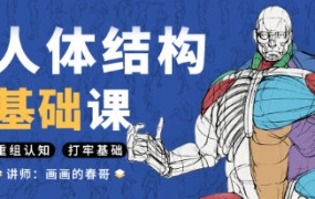 春哥人体结构基础课第13期【画质不错有大部分课件】