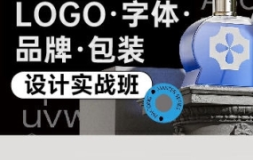 卢帅logo字体品牌包装设计实战班第5期2022【画质不错有大部分素材】
