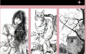 陌上人杨超零基础入门到高阶大神全体系速写+素描【画质不错只有视频】