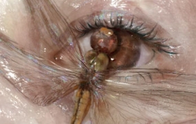 大块的art绘画课2023年【画质不错有素材】