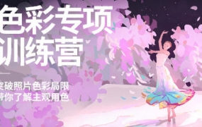风绽色彩专项训练营第三期2024【画质高清有作业包】