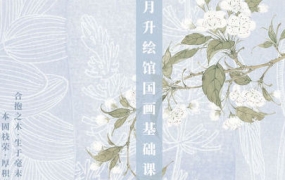 月升绘馆国画基础课【画质不错只有视频】