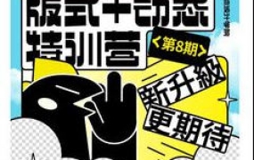 卢帅第8期版式＋动态特训营【画质高清有大部分素材】