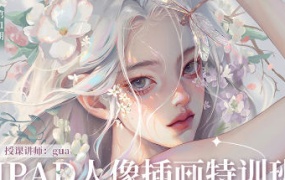 gua老师基础特训班第11期2023年12月结课【画质高清有笔刷】