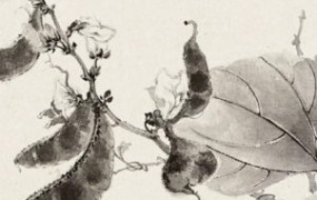 马啸羽国画课程合集【画质还可以】