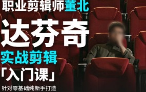 董北达芬奇实战剪辑入门课2024【画质高清有大部分素材】