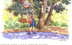 欧阳贝钢笔淡彩花卉果蔬自然风景课2023【画质不错有课件】