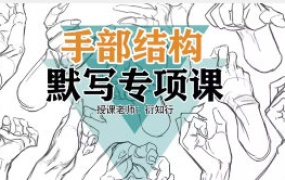 衍知行手部结构默写专项课【画质高清只有视频】