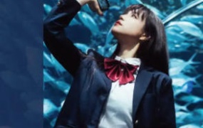 衣刀君摄影课2024【画质还可以有预设和插件】