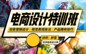 胖雪电商设计速成班【画质不错有大部分素材】