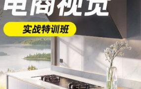 电商视觉商业实战班第50期2024升级版【画质高清有大部分素材】