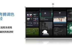 大马奔腾调色易筋经2024【画质高清有素材】