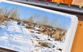 小布老虎有点忙水彩课合集【画质高清只有视频】