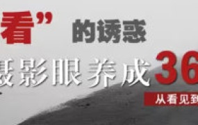 摄影眼养成36技+影像创作社区王建章的摄影课【画质不错只有视频】