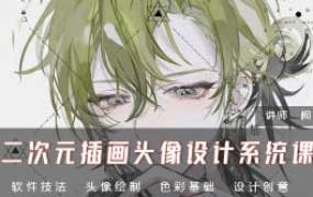 枸杞叶二次元插画头像设计系统课2024【画质高清只有视频】