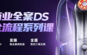 商业全案DS全流程系列课【画质高清只有视频】