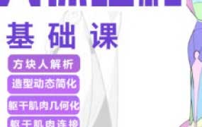 大木人体结构基础课第13期【画质高清有课件】