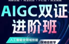野菩萨AIGC双证进阶班2024【画质高清只有视频】