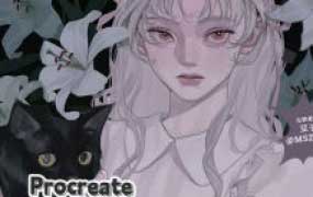 mszxxx豆子复古风人物插画课2024【画质高清只有视频】