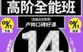卢帅品牌设计高阶班第14期2025【画质高清有大部分素材】