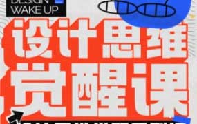 风翮设计思维觉醒课2024【画质高清只有视频】