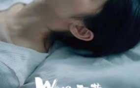 Wong阿黄摄影网络课第1期2024【画质高清只有视频】