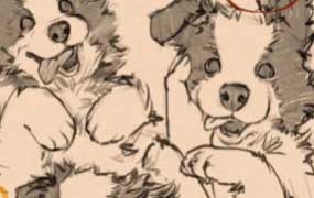 凶猛悍兔动物插画速写课2025【画质高清有笔刷素材】