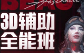 李睿3D辅助全能班第1期2025【画质高清只有视频】