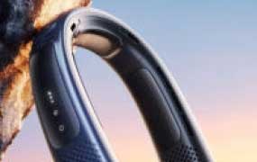 淮情商业AIGC渲染Max训练营2024【画质高清有素材】