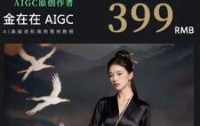 AI摄影高阶技法金在在AIGC2024【画质高清有大部分素材】