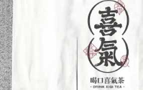 贰喜哥LOGO设计实战特训营第9期【画质还行有素材】