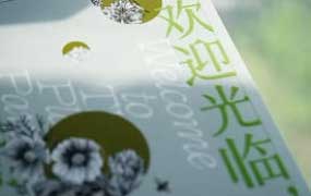 Ronny设计学堂孫容100天陪练计划平面设计100问【画质高清只有视频】